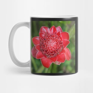 Ginger Flower Mug